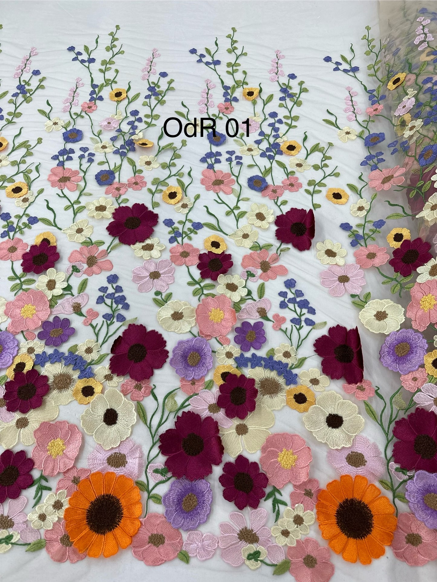 OdR01