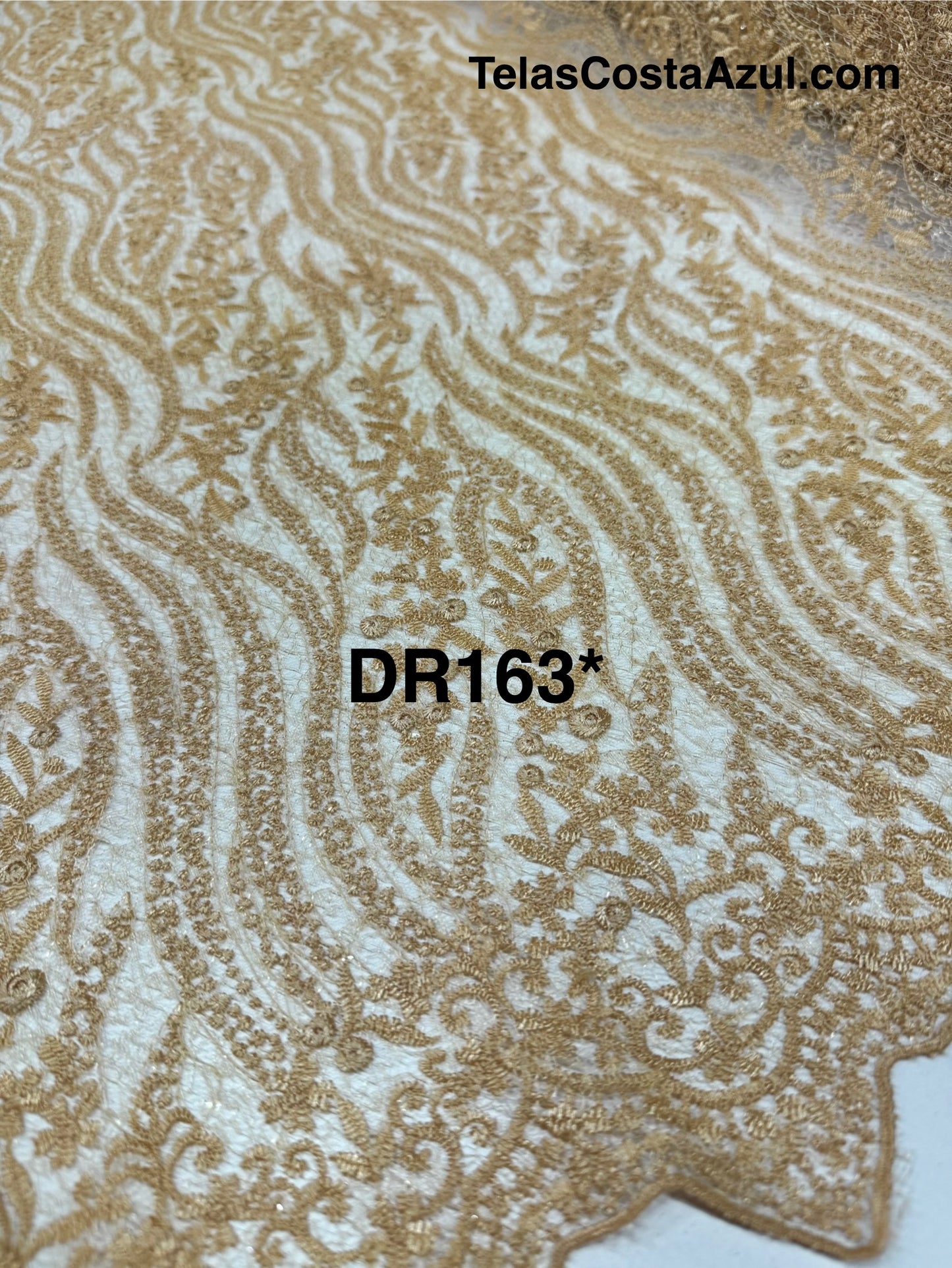 DR163*