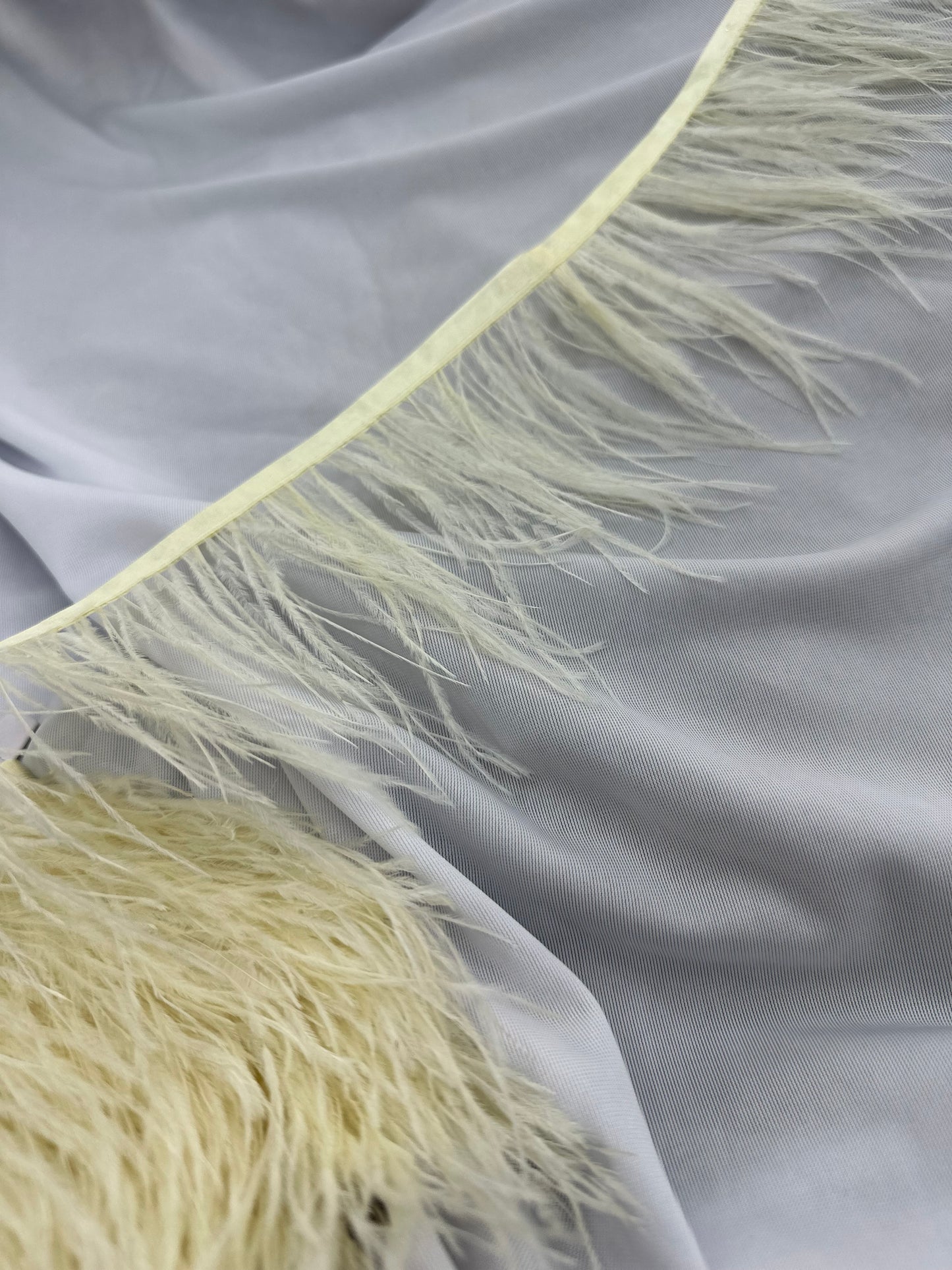 Plumas de avestruz 10cm largo