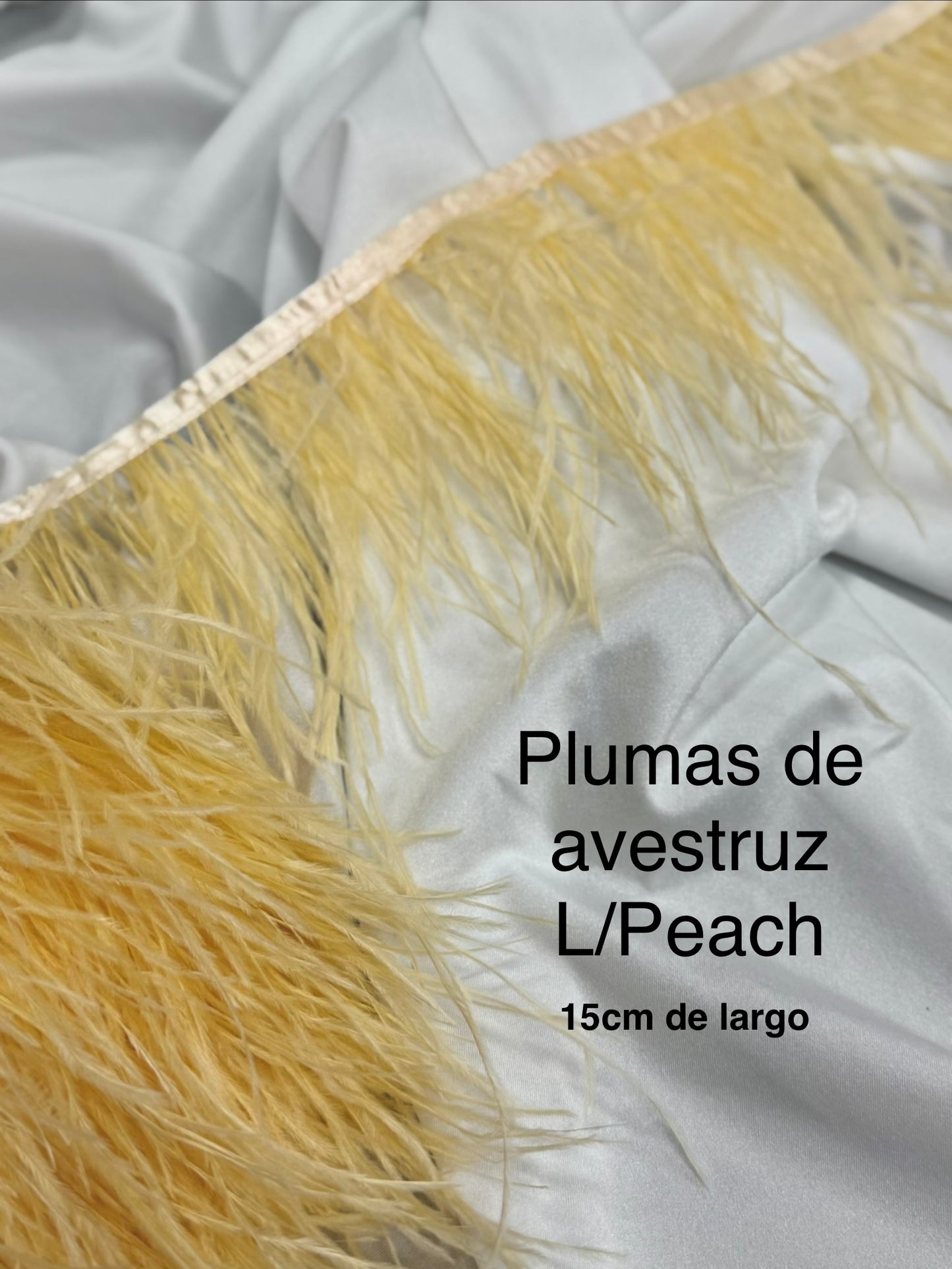 Plumas de avestruz 15cm largo L/Peach