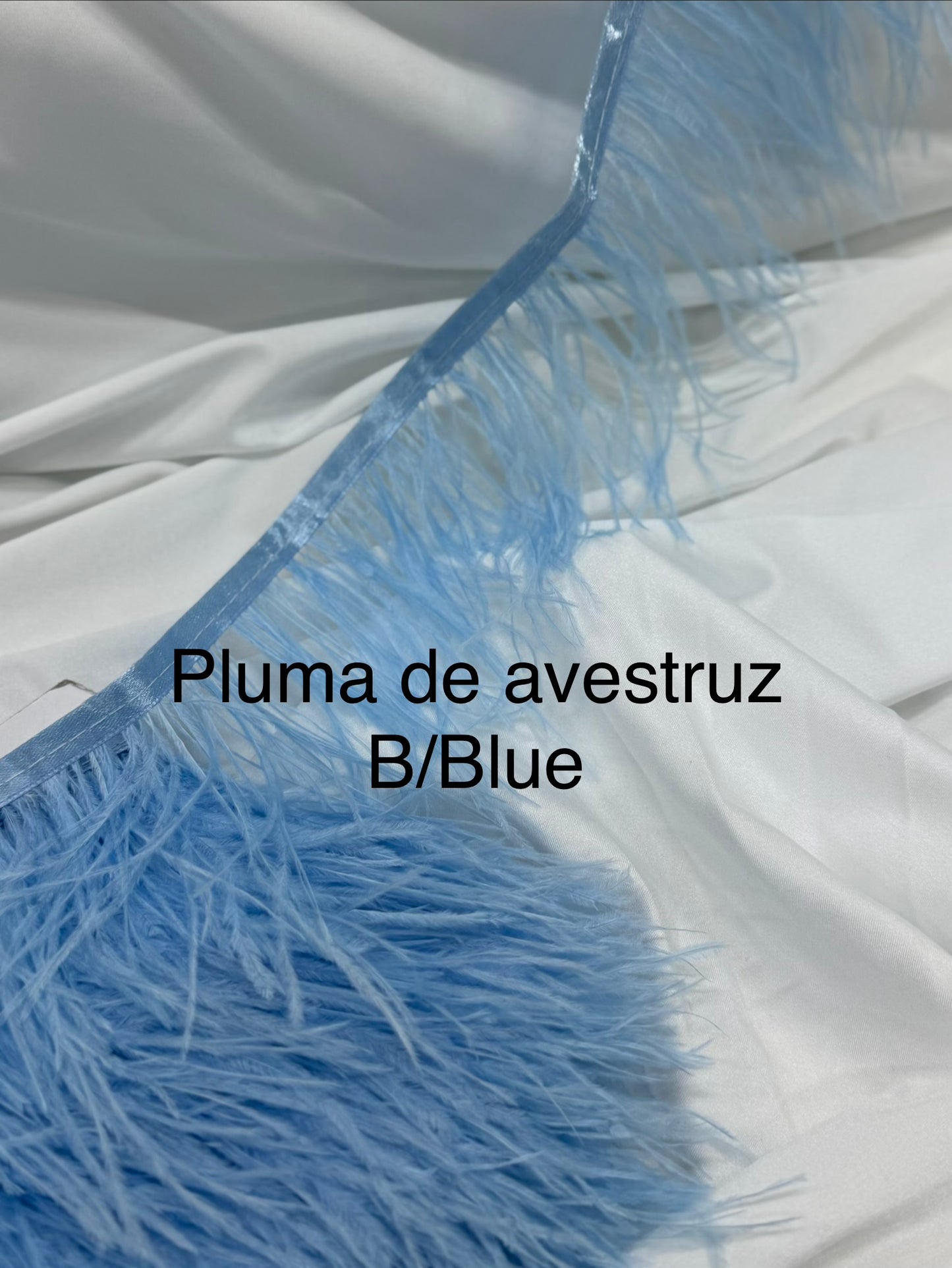 Plumas de avestruz 10cm largo B/Blue