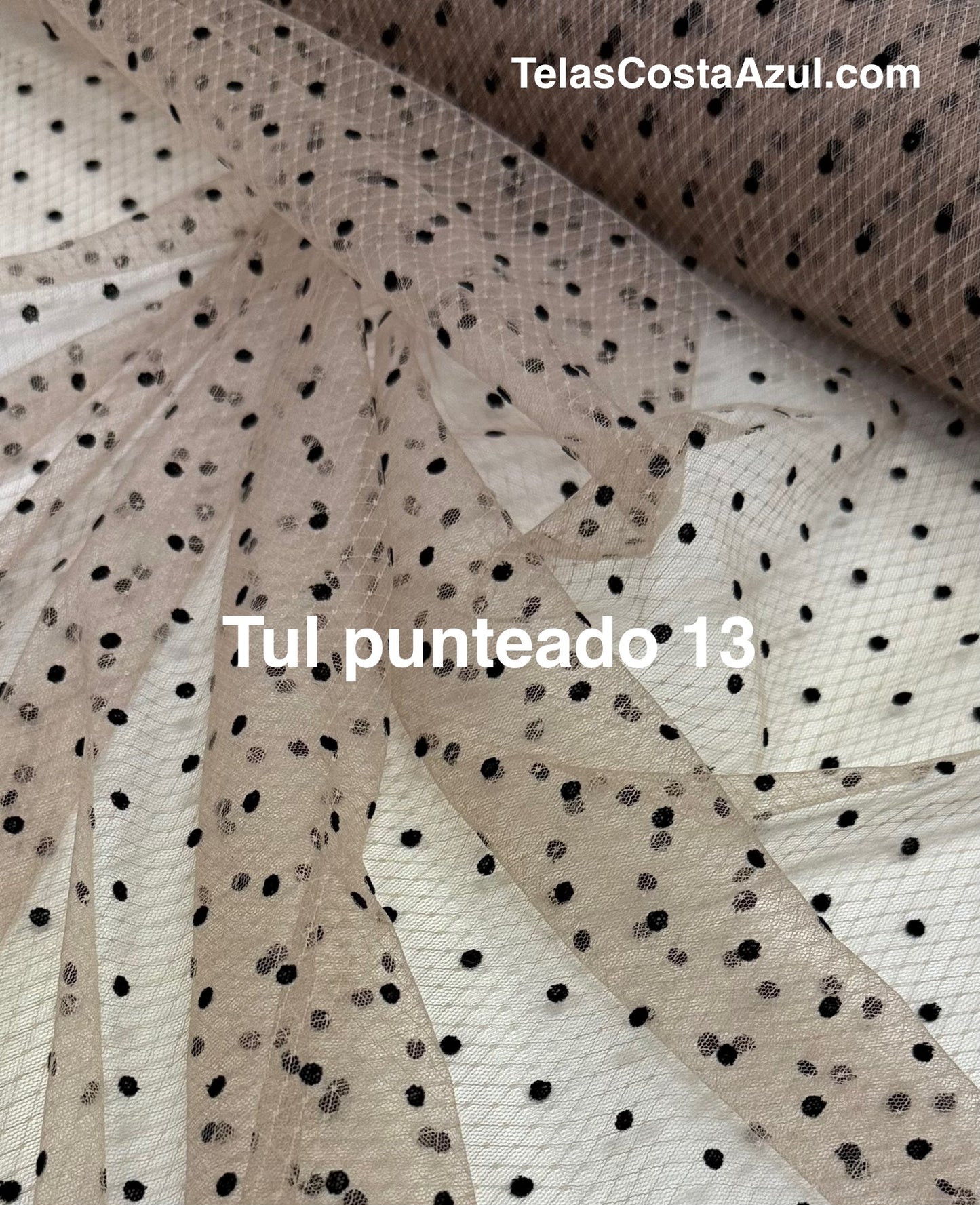 Tul punteado 13