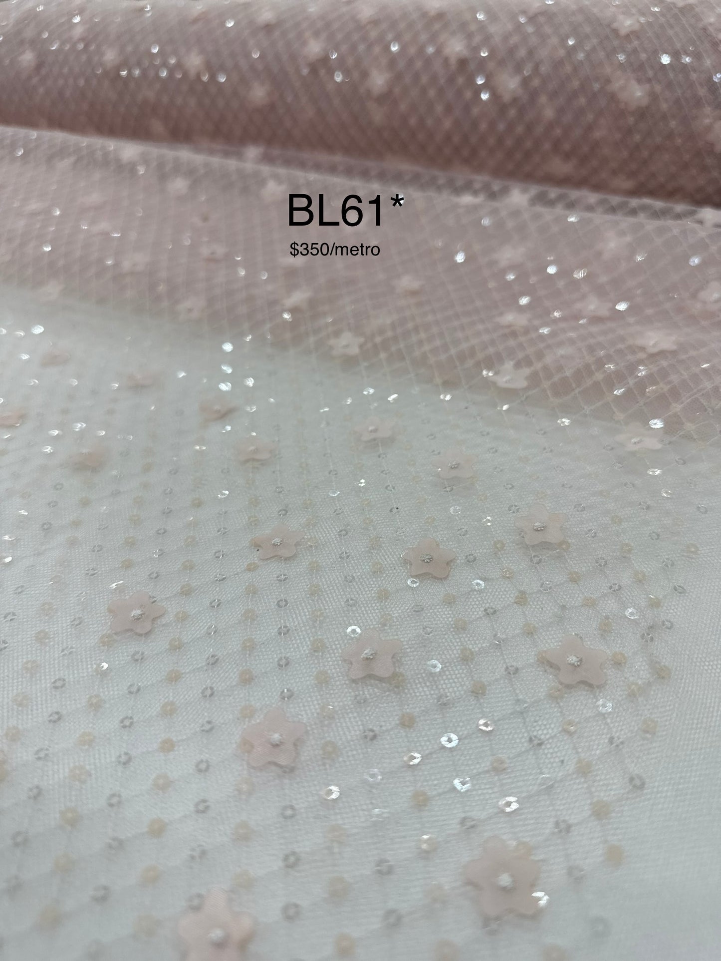 BL61*