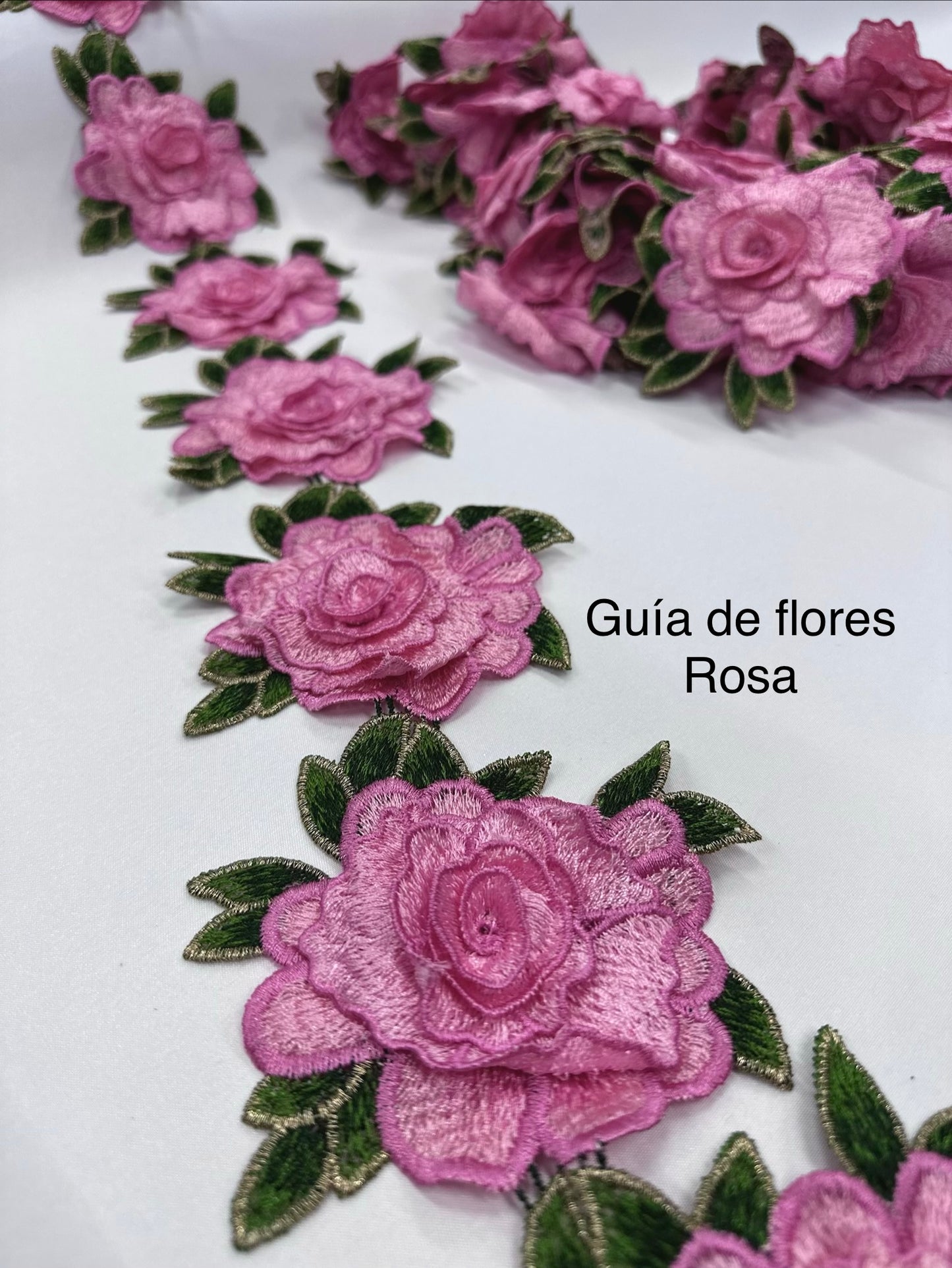 Guía de flores Rosa