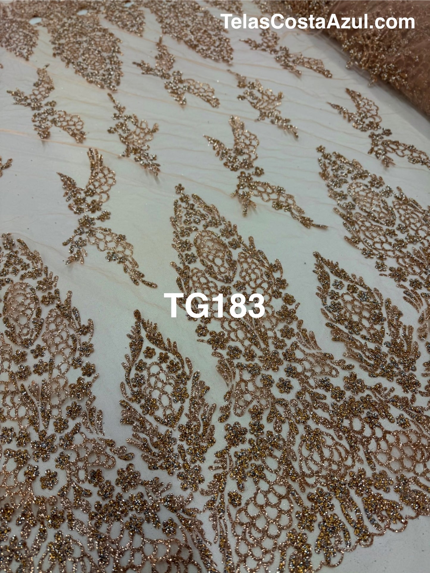 TG183