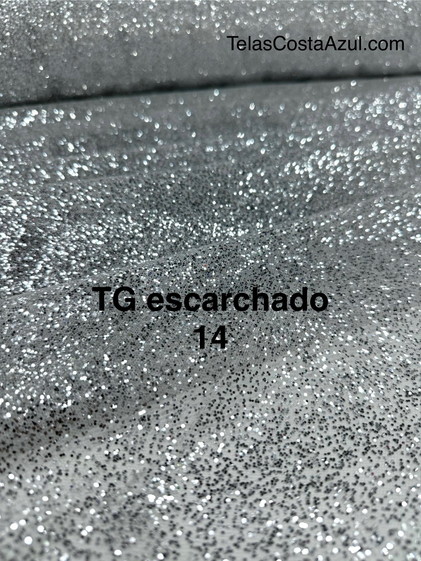 TG escarchado 14