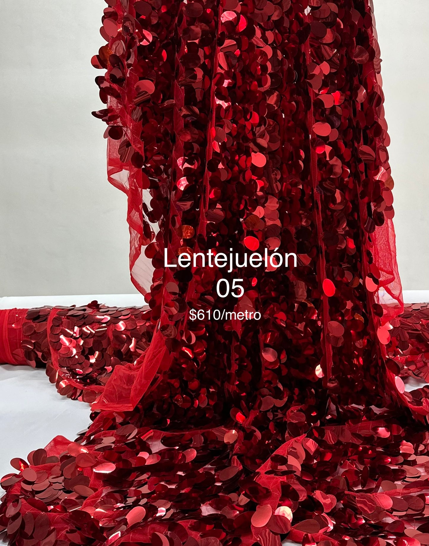 Lentejuelón 05