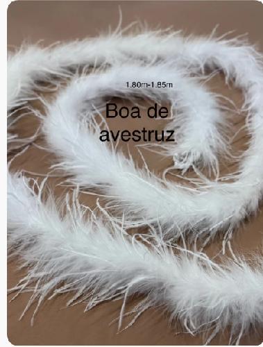 Boa Eco Blc