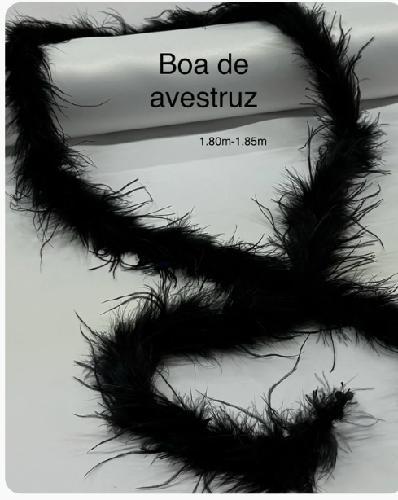 Boa Eco Ng