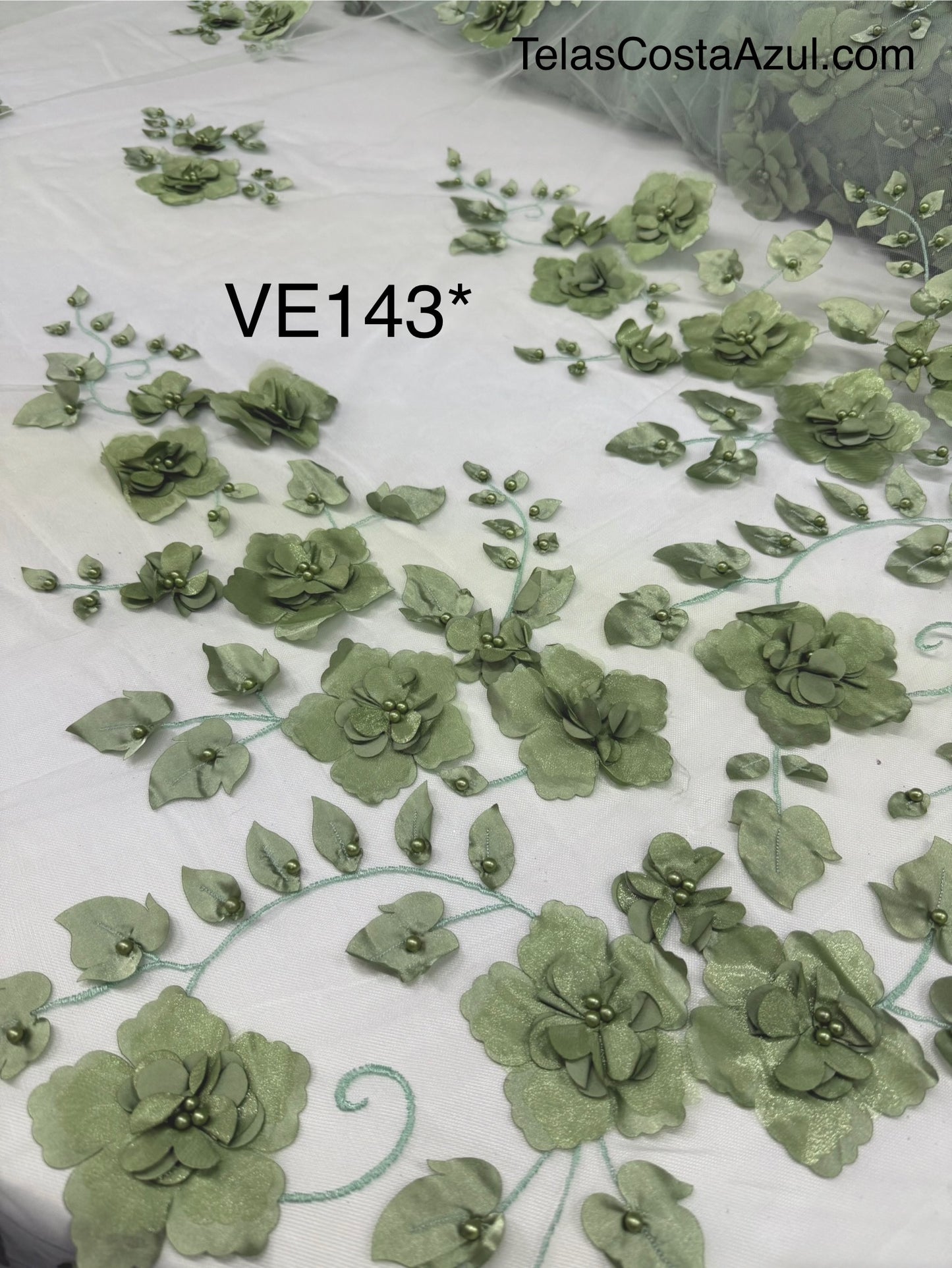 VE143*
