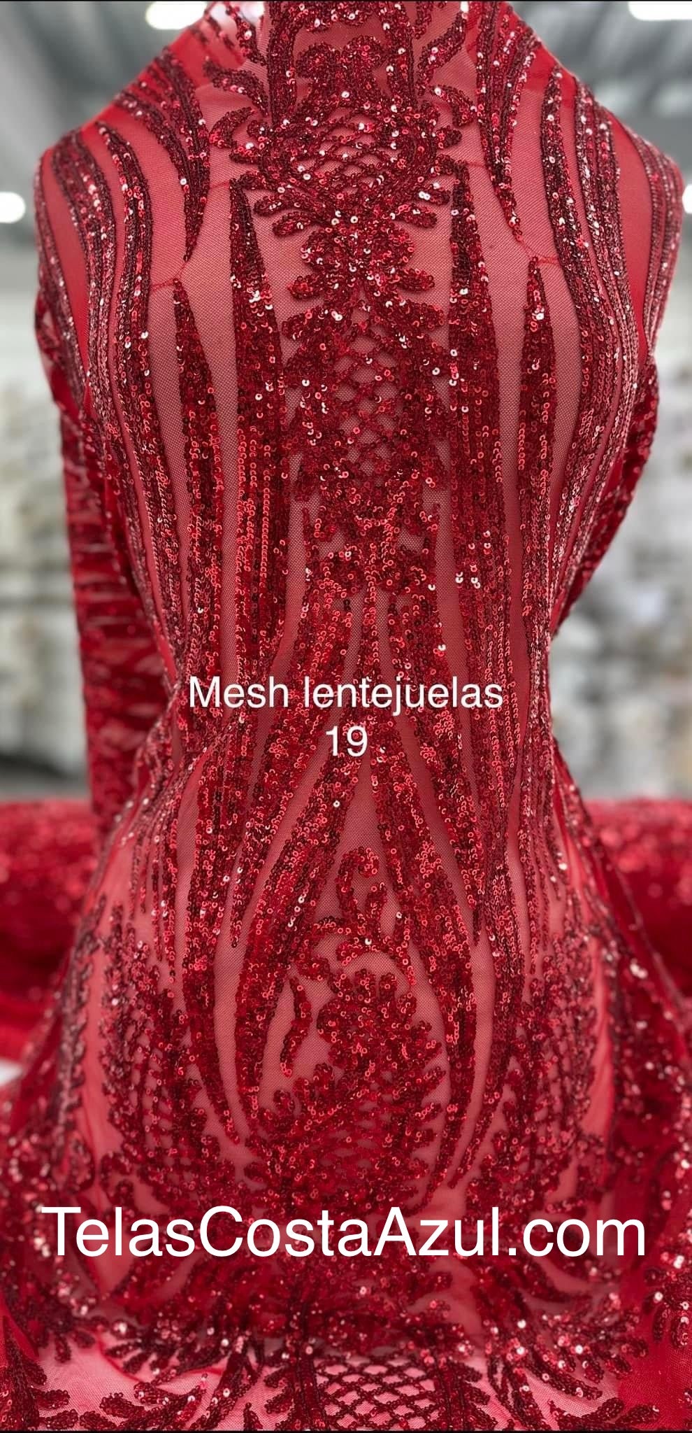 Mesh lentejuelas 19