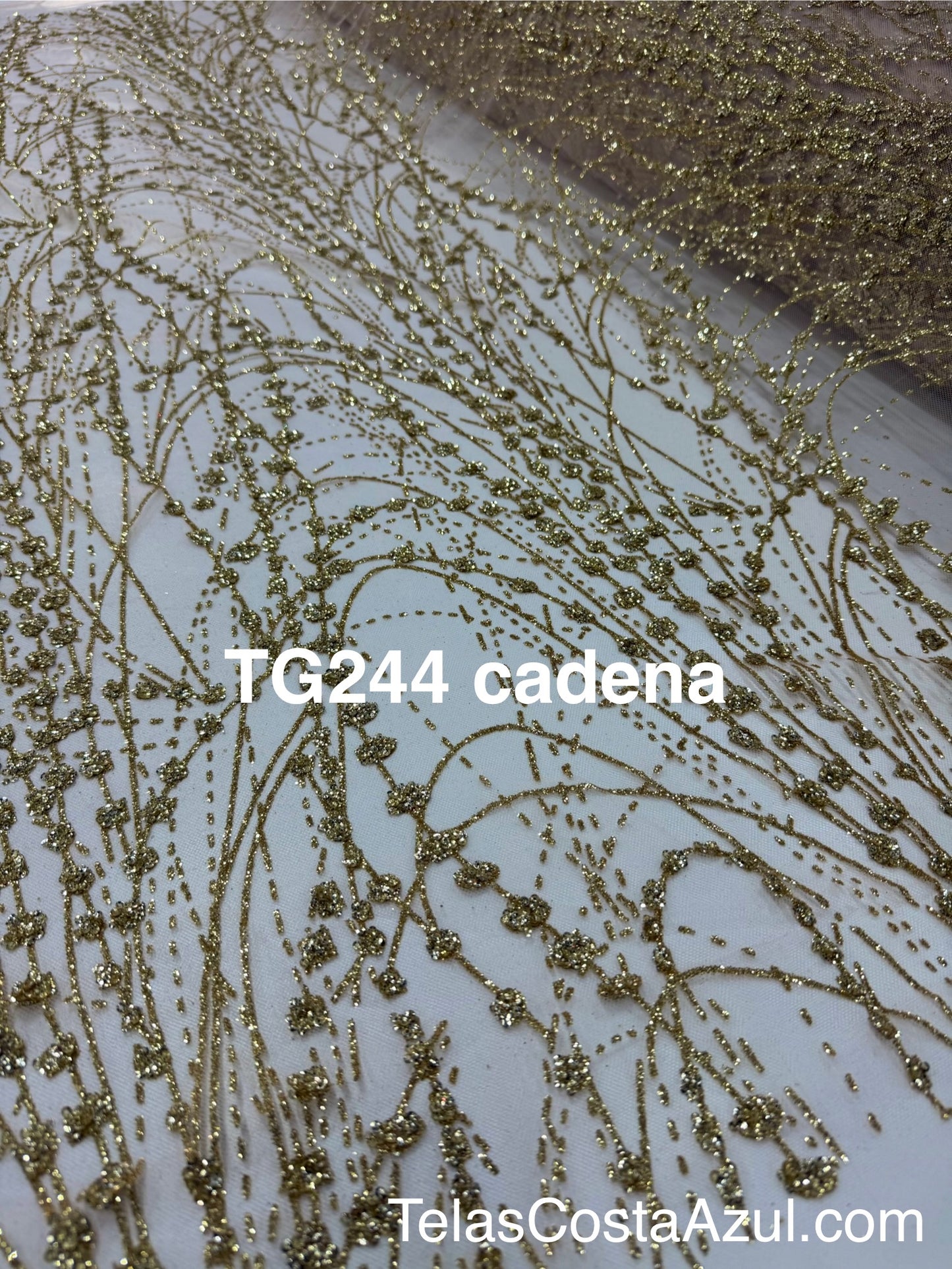 TG244 cadena