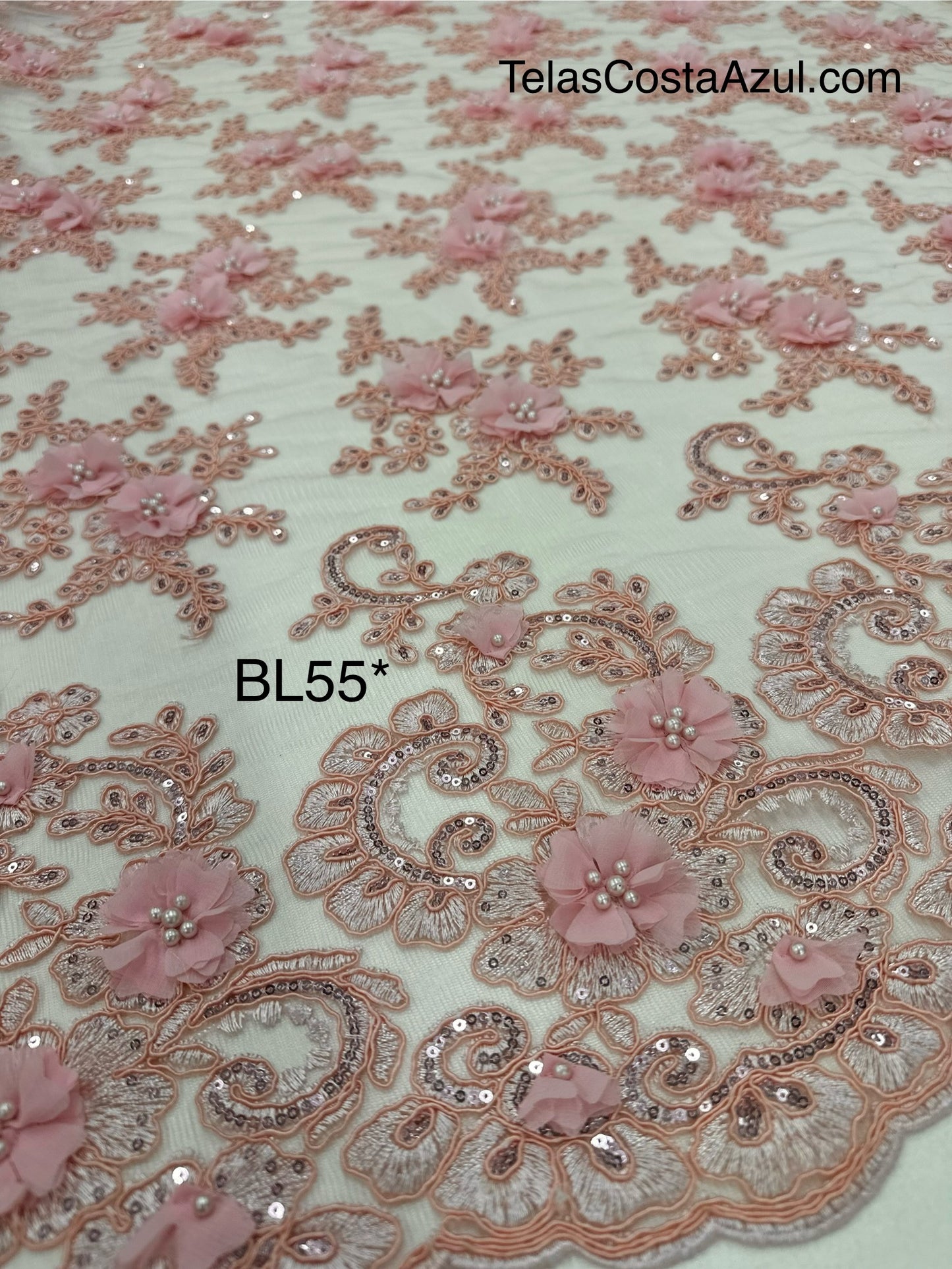 BL55