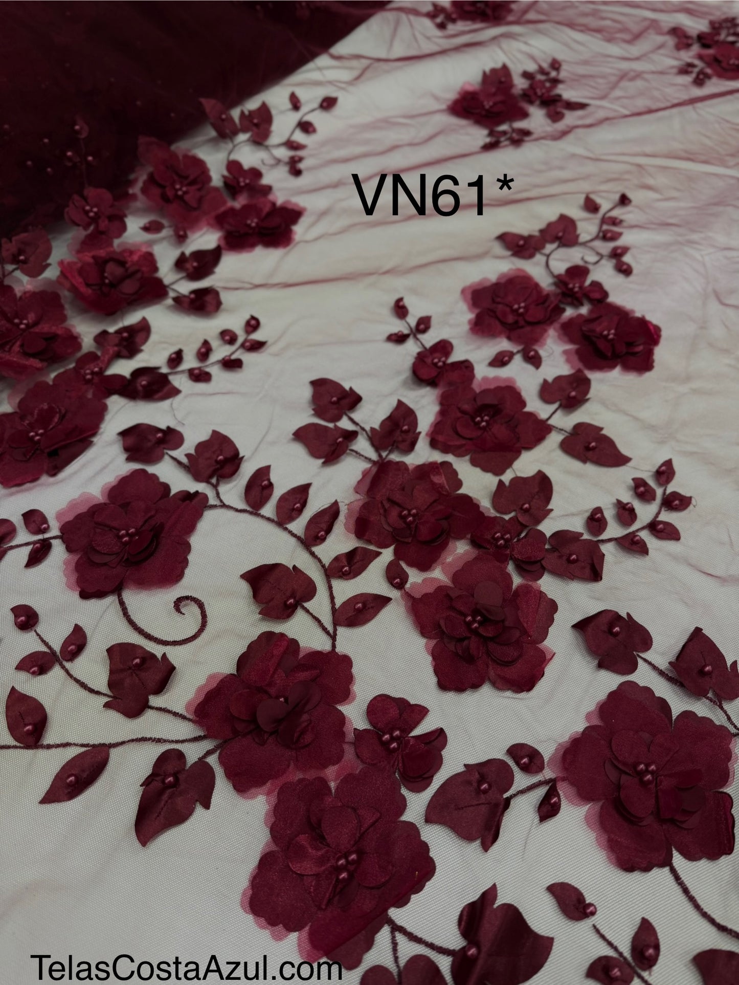 VN61*