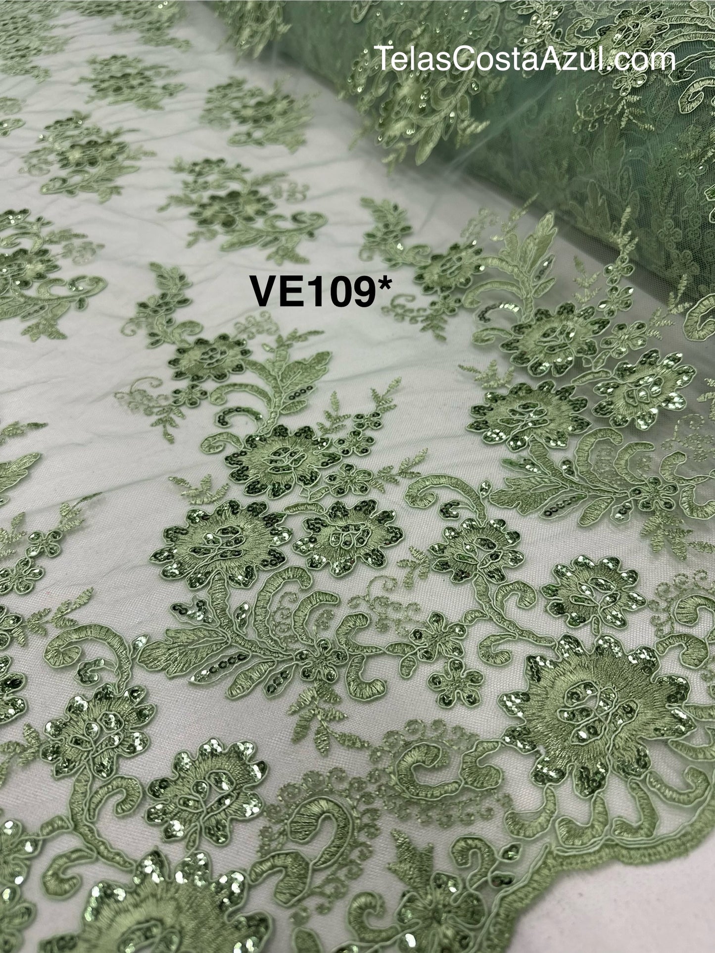VE109*