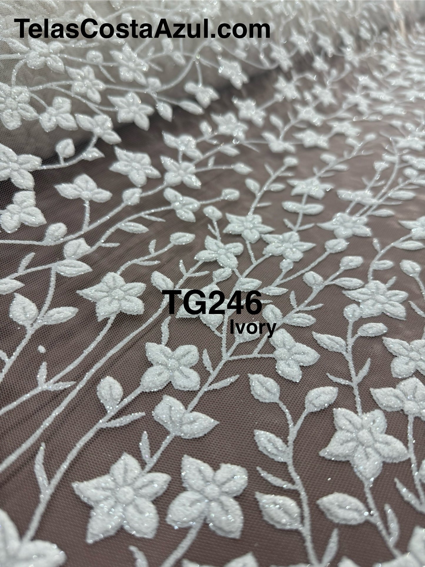 TG246