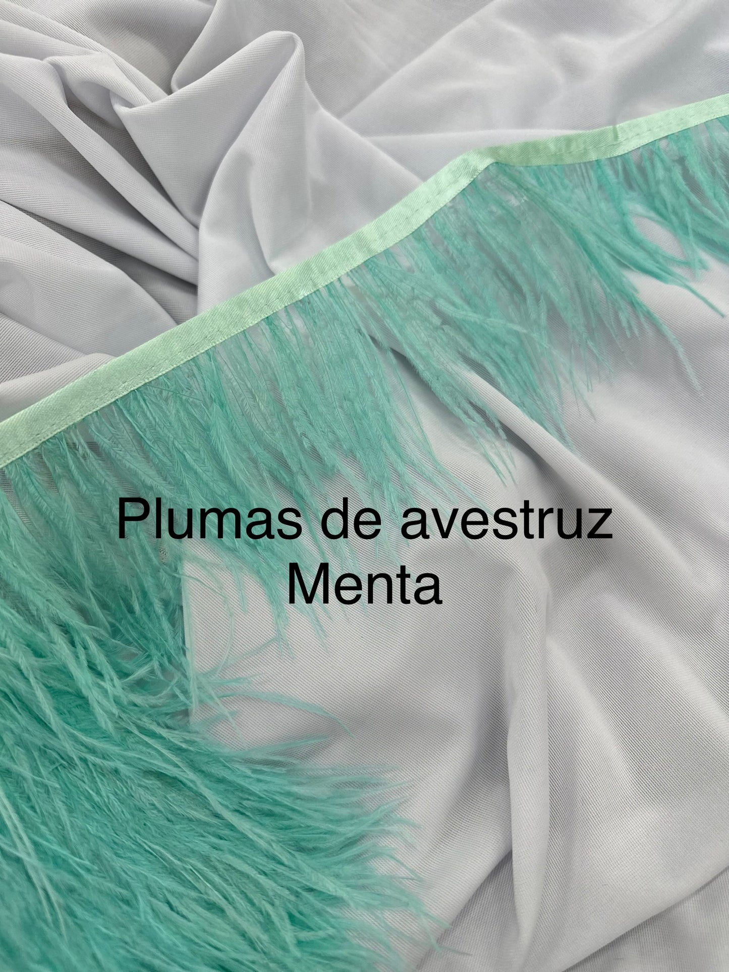 Plumas de avestruz 10cm largo Menta