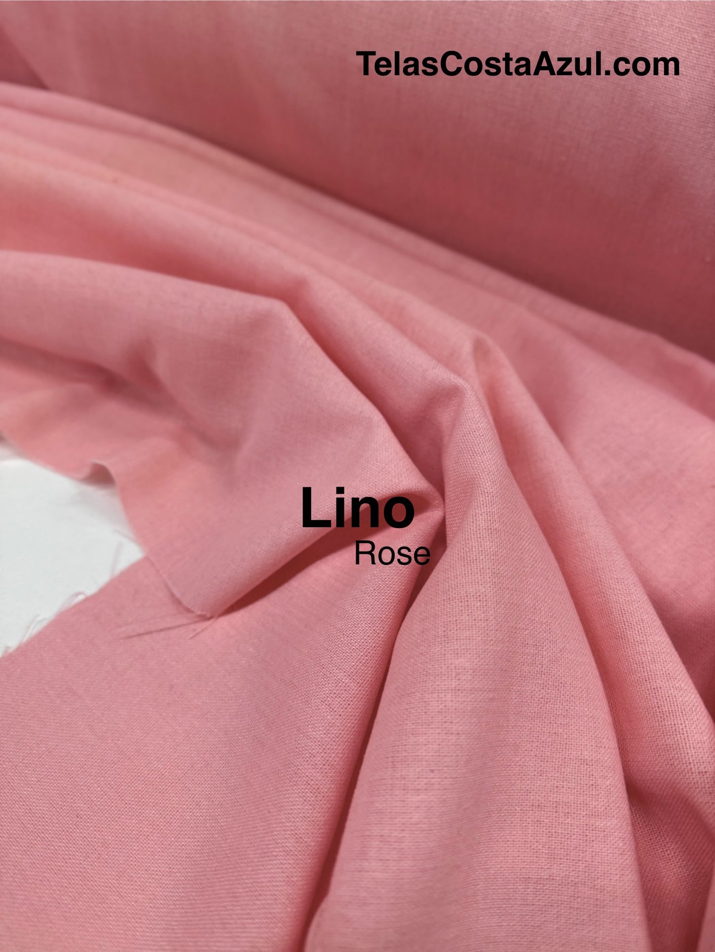 Lino Rose