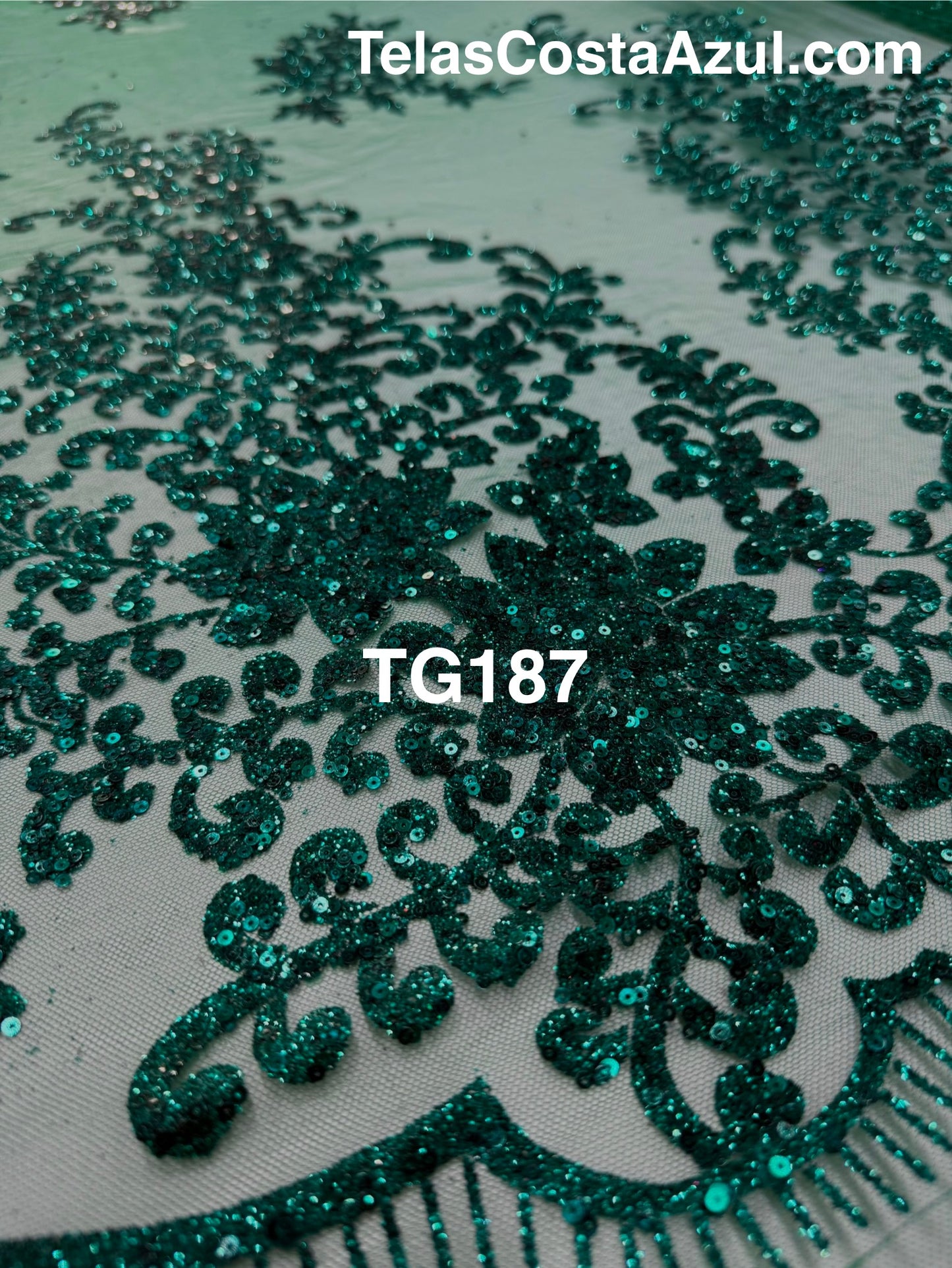 TG187