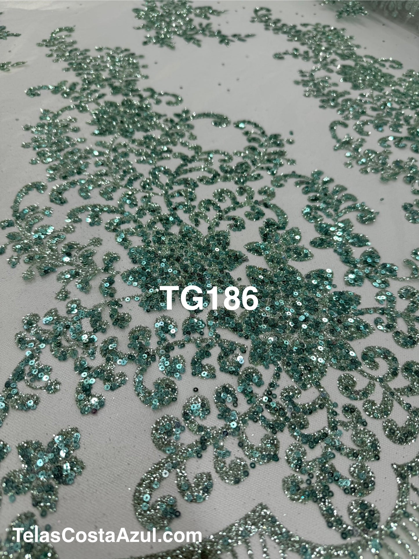 TG186