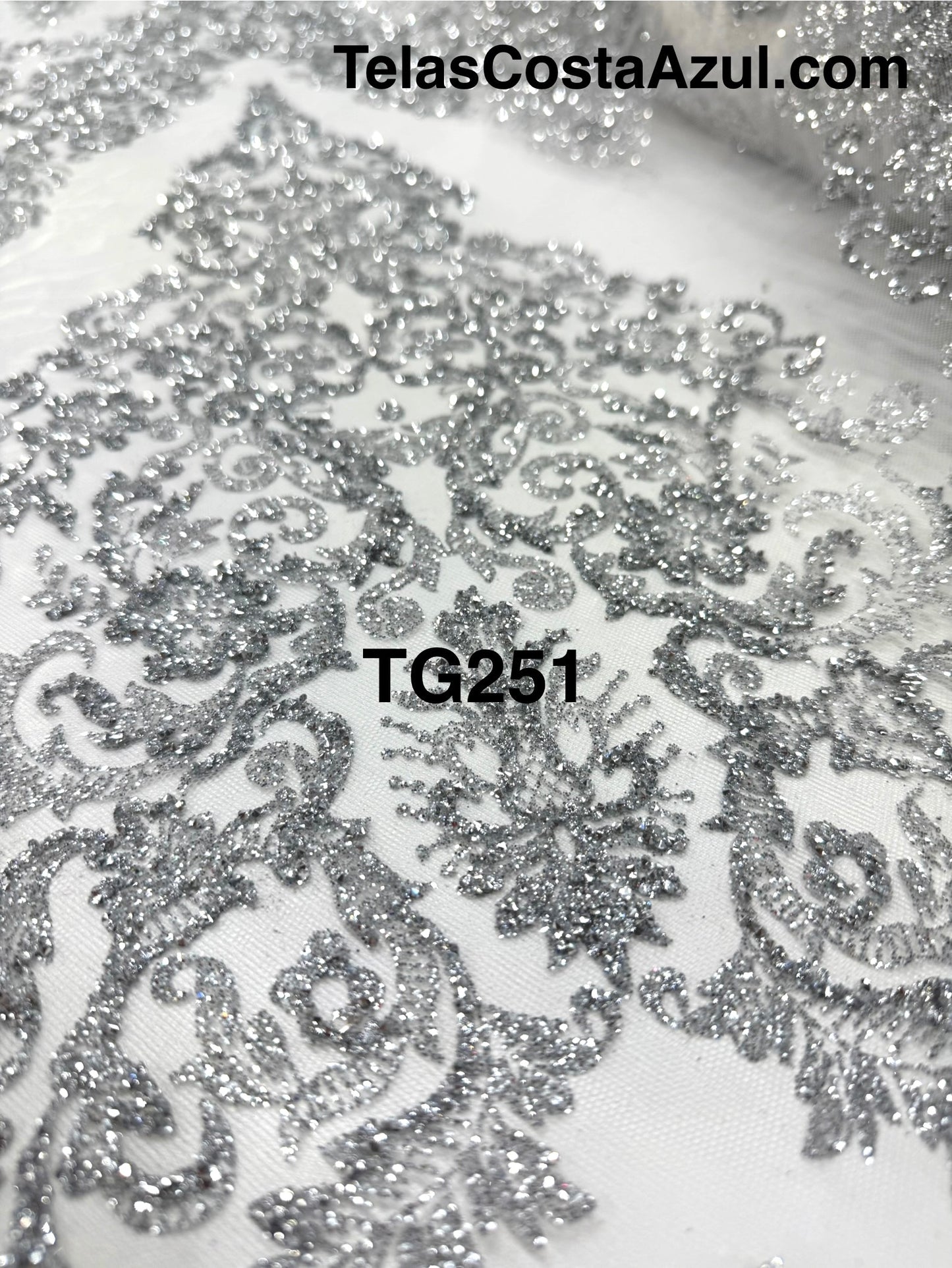 TG251