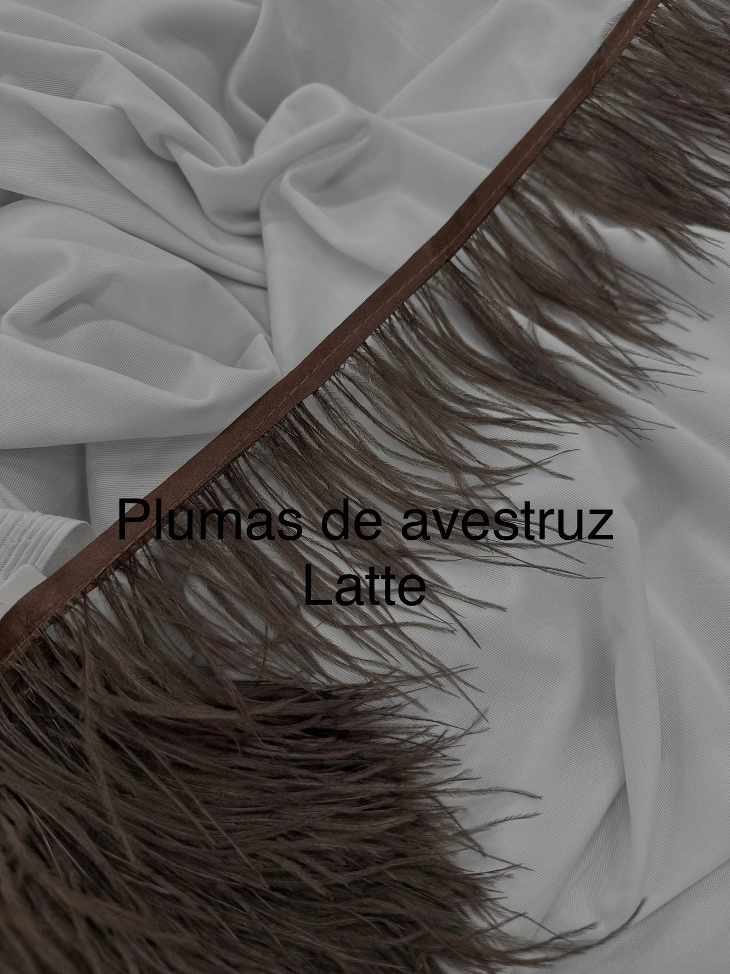 Plumas de avestruz 10cm largo Latte