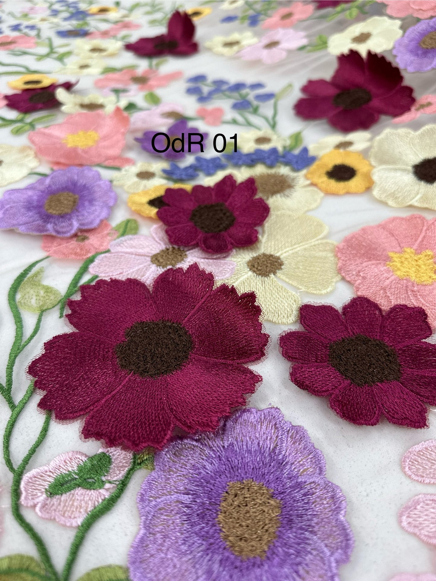 OdR01