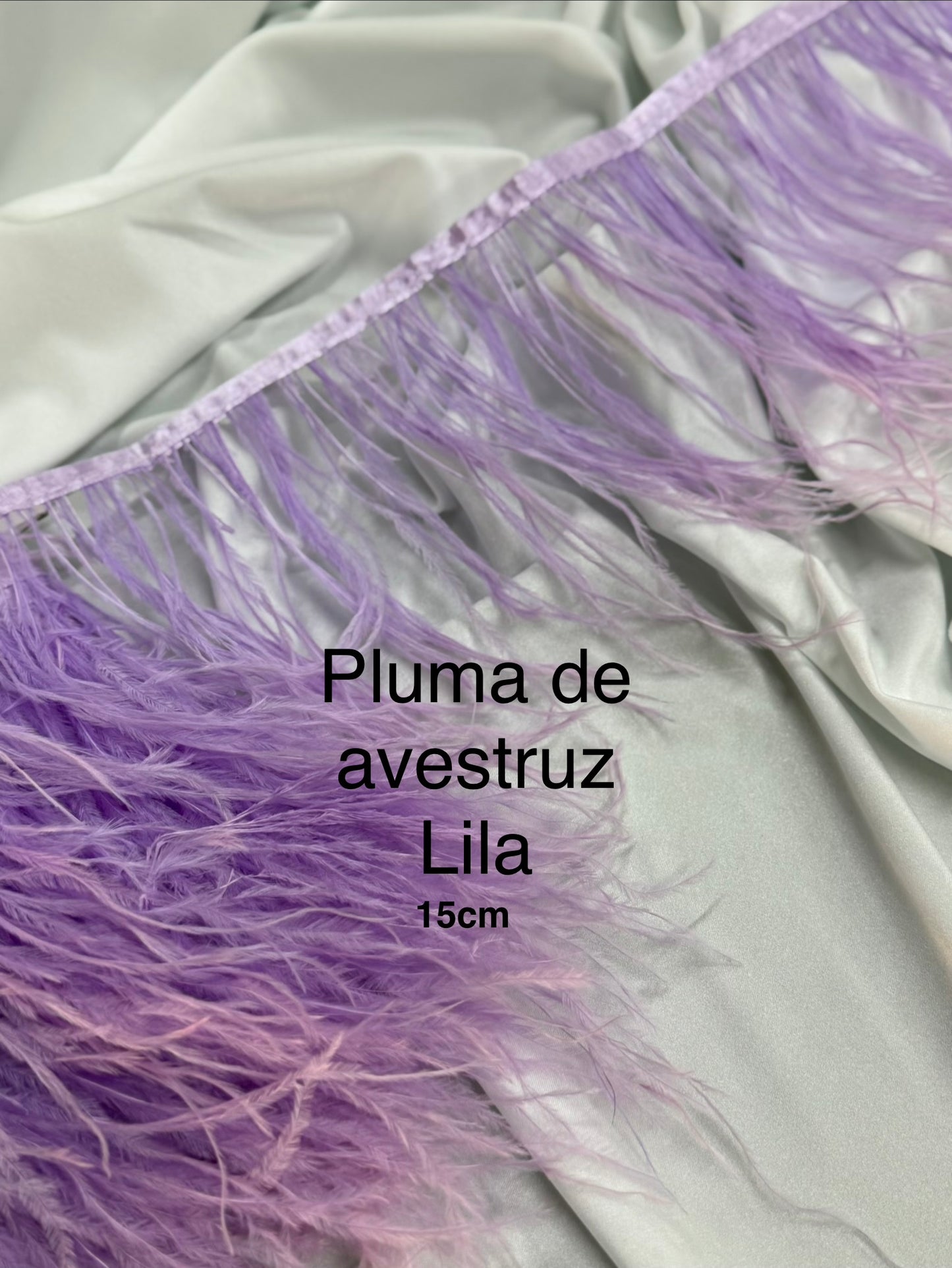 Plumas de avestruz 15cm largo Lila