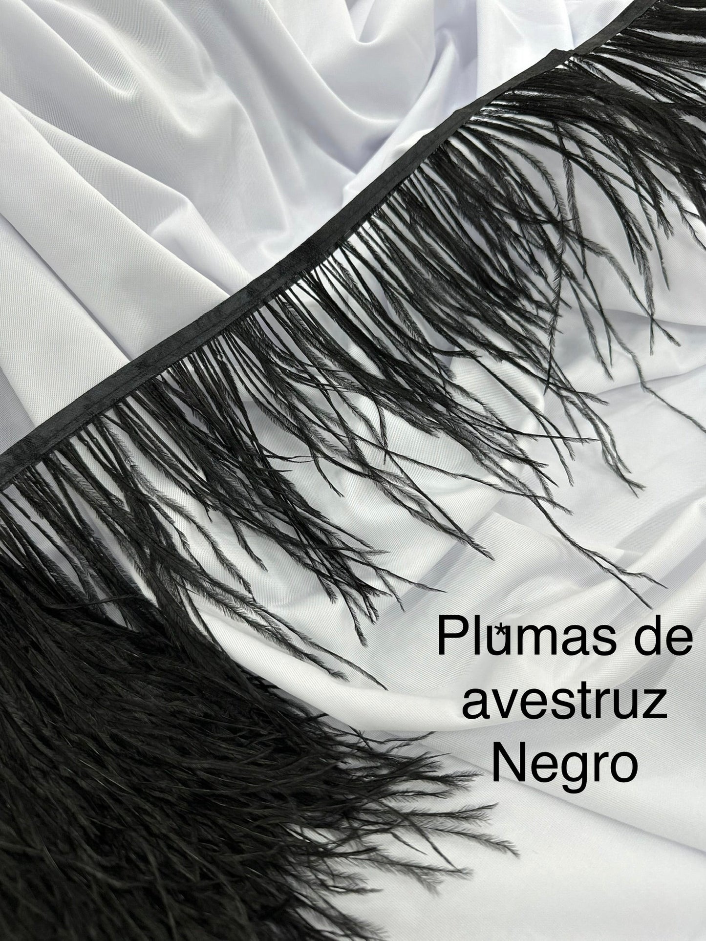Plumas de avestruz 10cm largo Negro