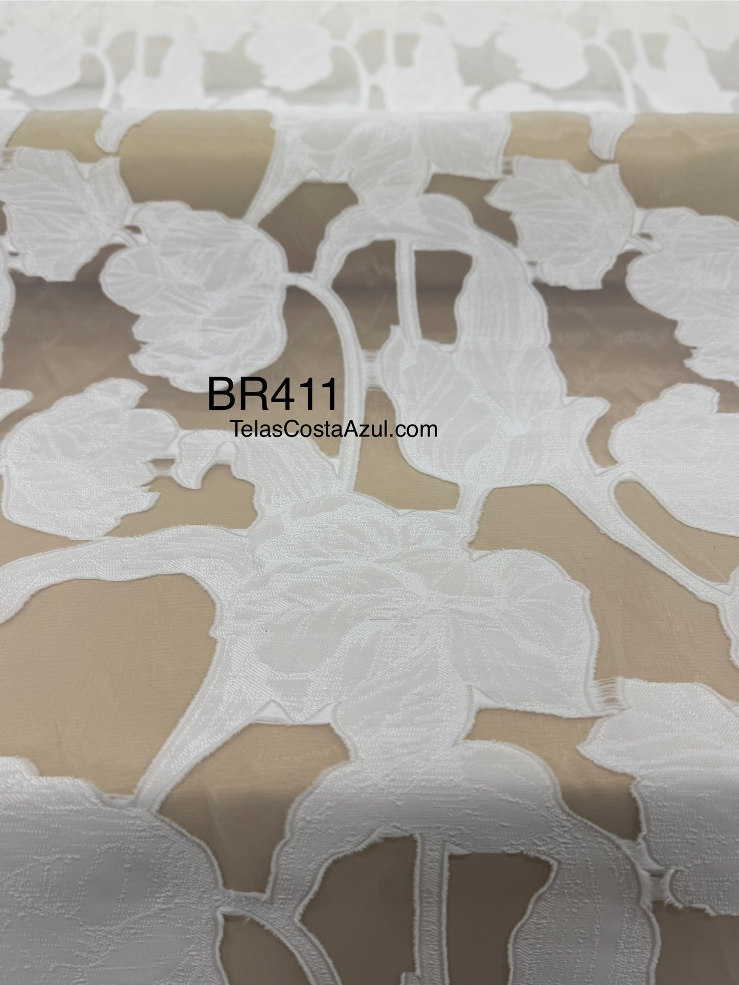 BR411
