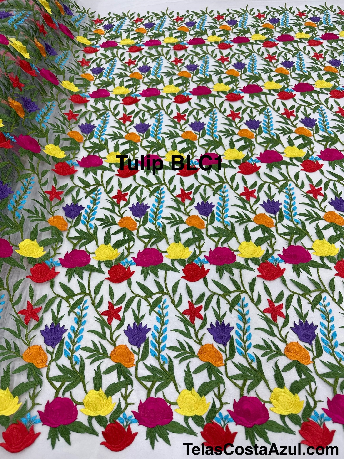 TulipBLC1 fondo blanco