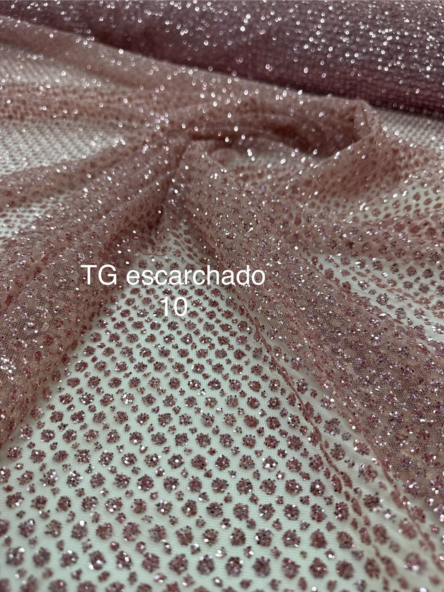 TG escarchado 10