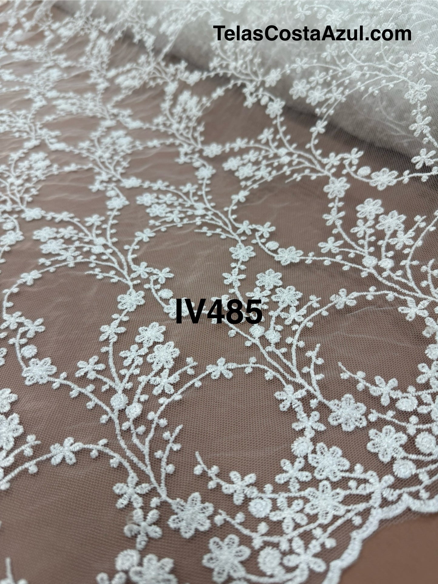IV485