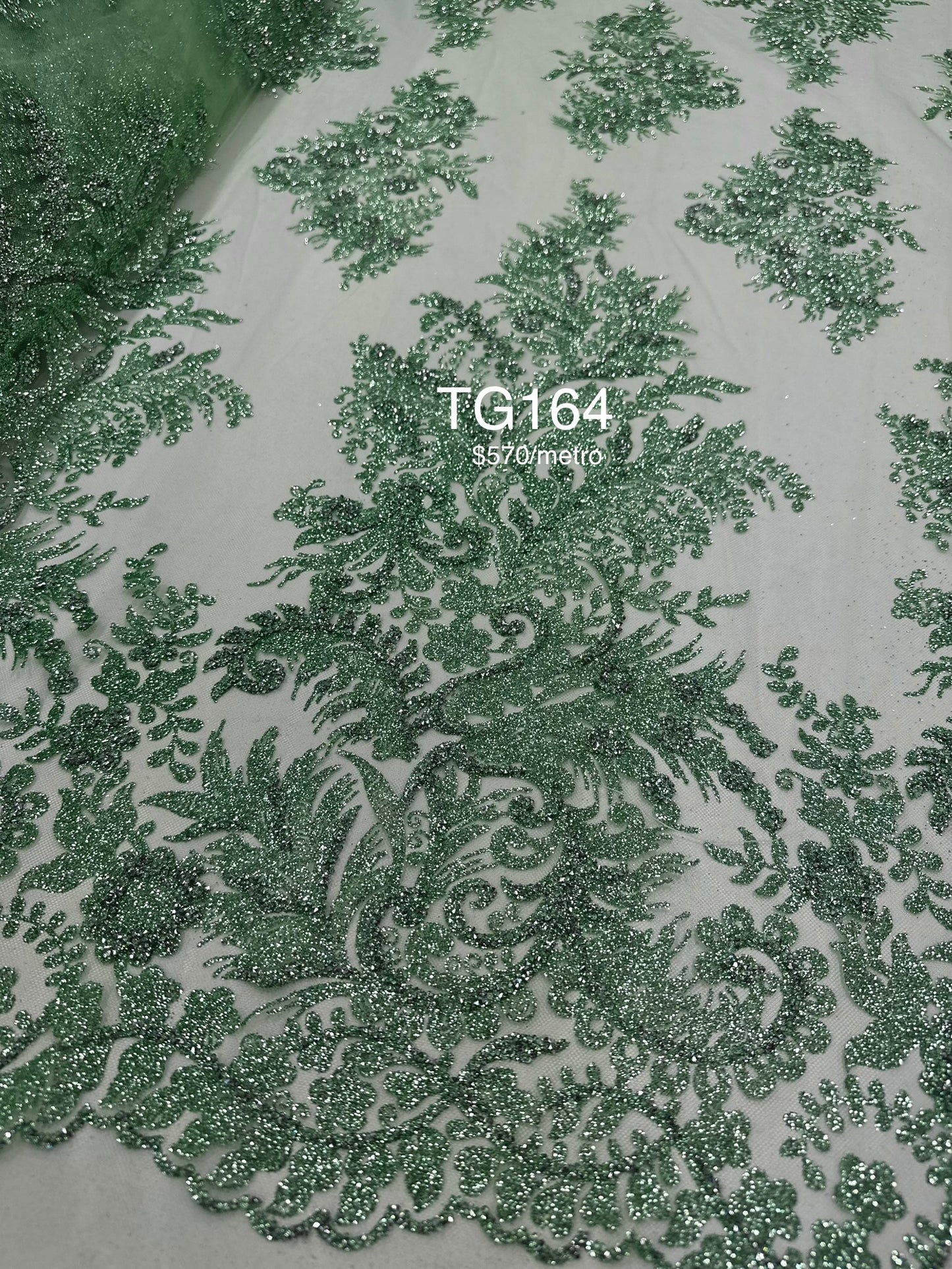 TG164
