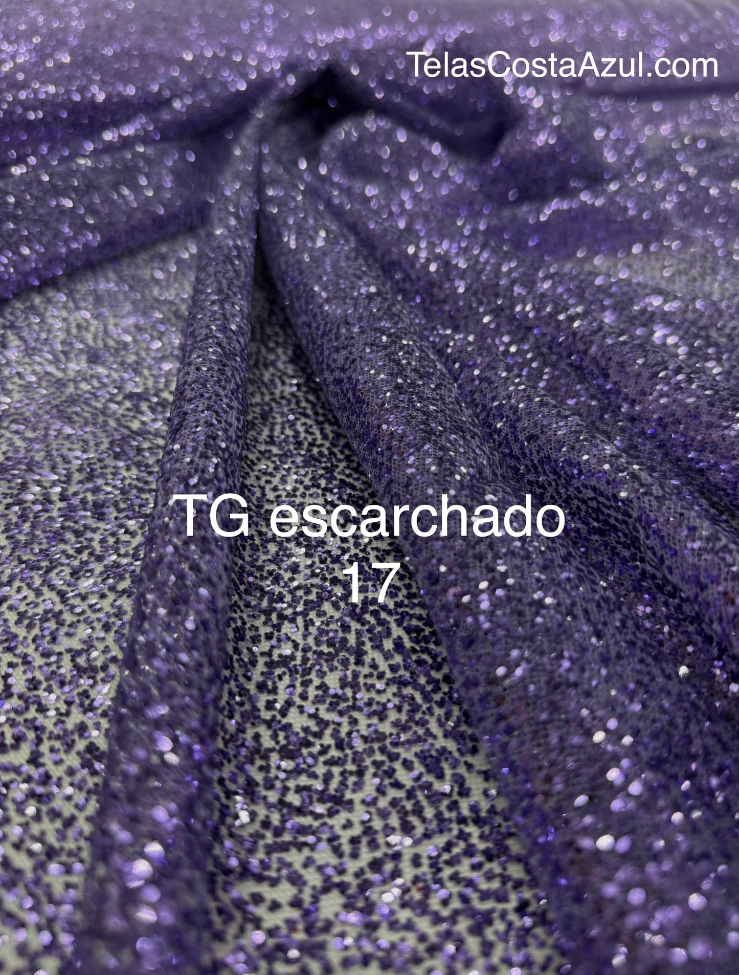 TG escarchado 17