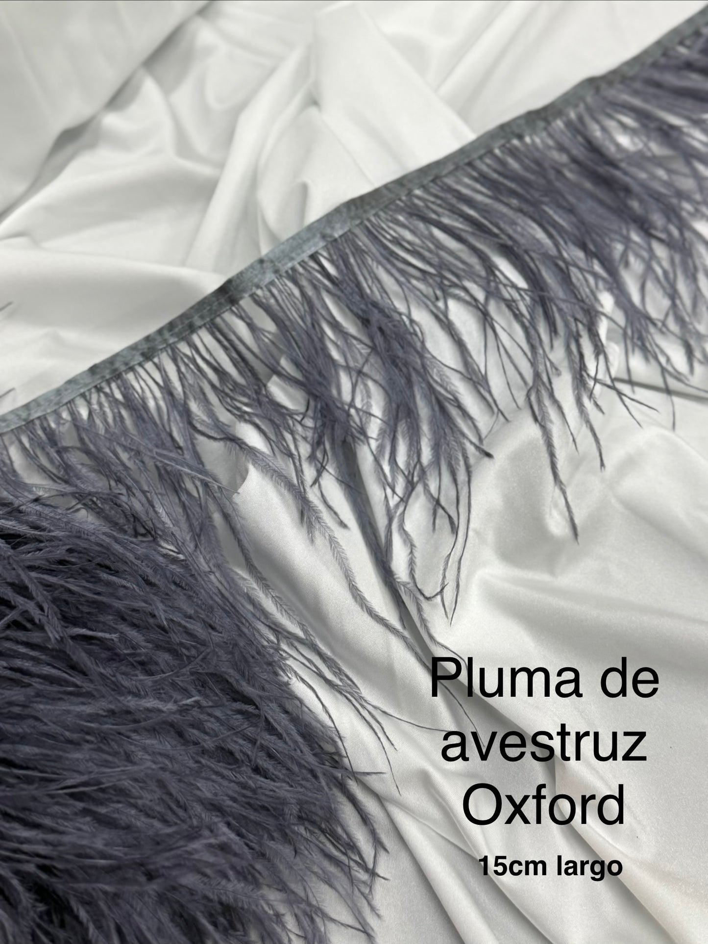 Plumas de avestruz 15cm largo Oxford