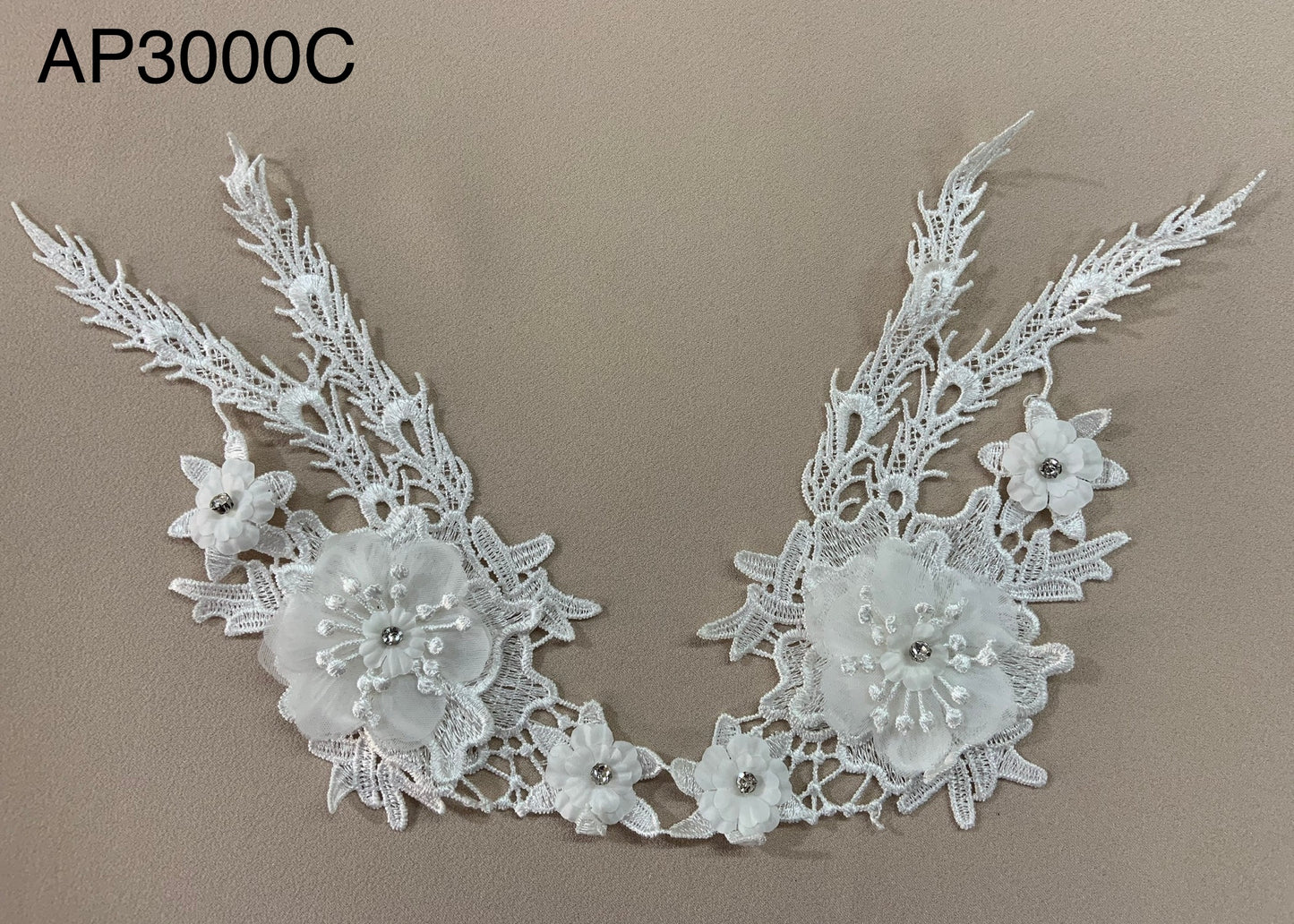 AP3000C