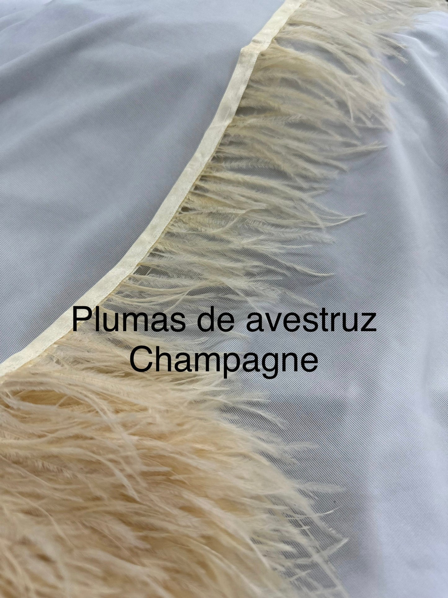 Plumas de avestruz 10cm largo Champagne
