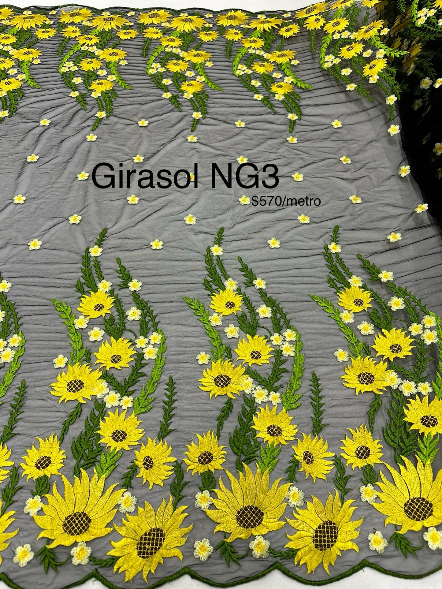 Girasol NG3