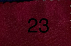 Charmeusse con licra 23