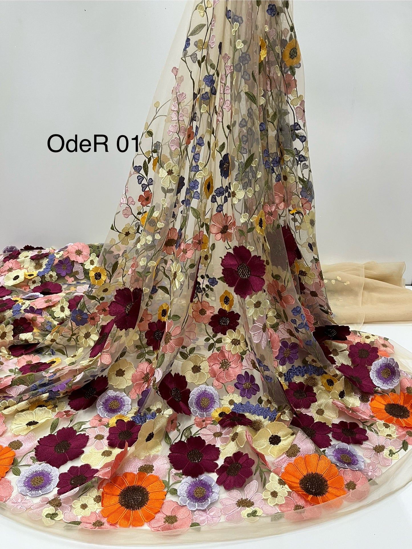 OdR01