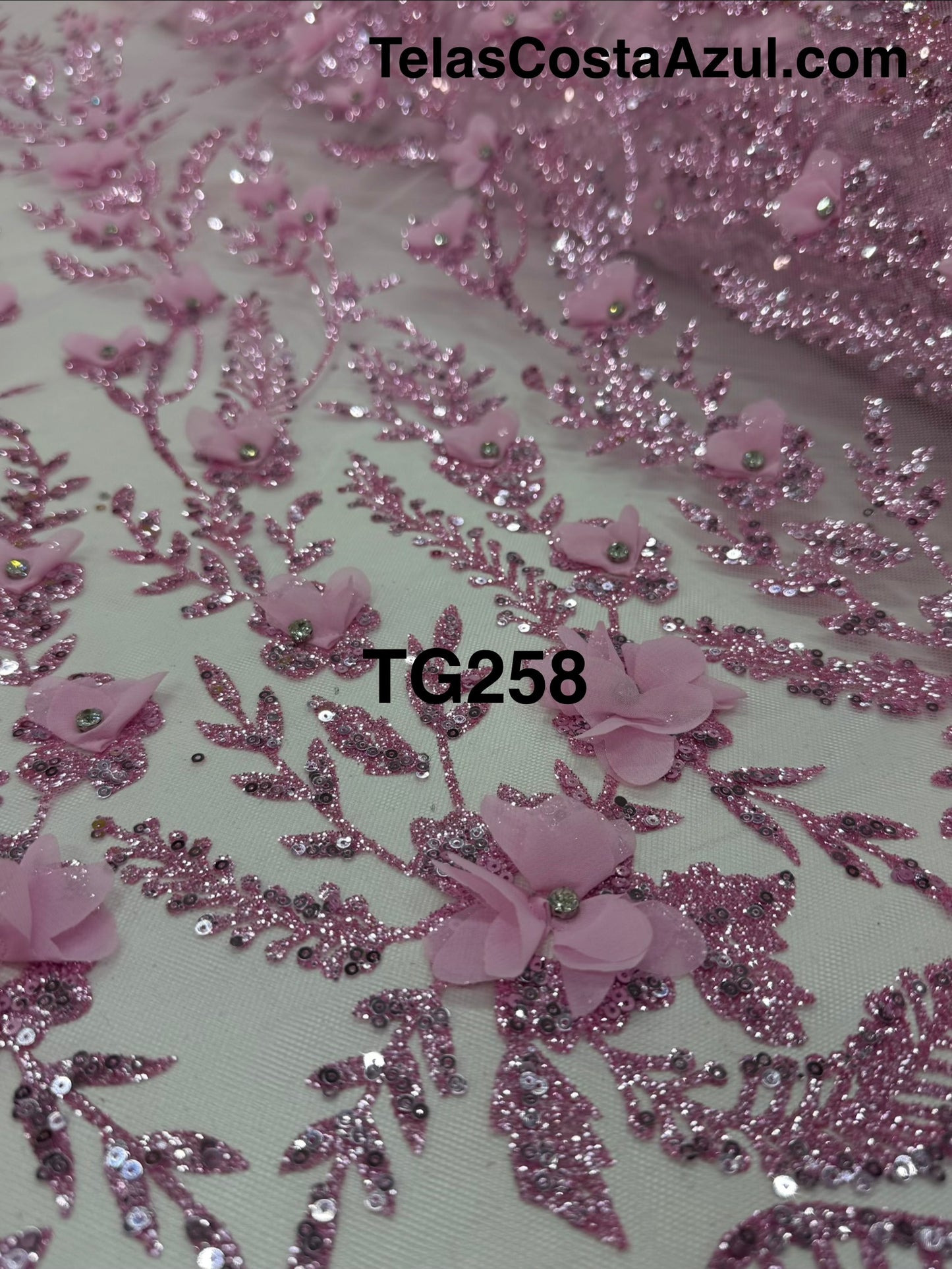TG258