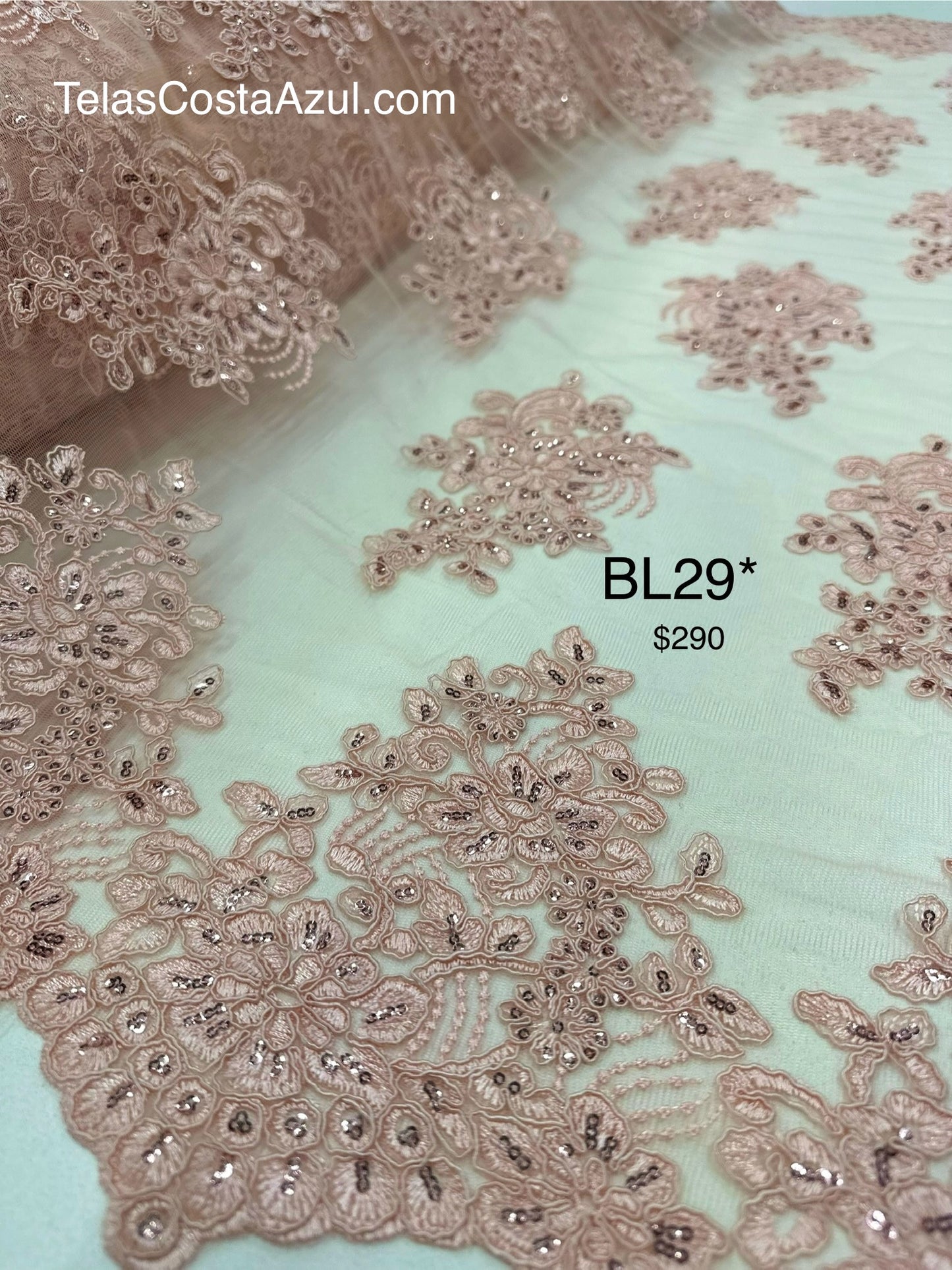 BL29*