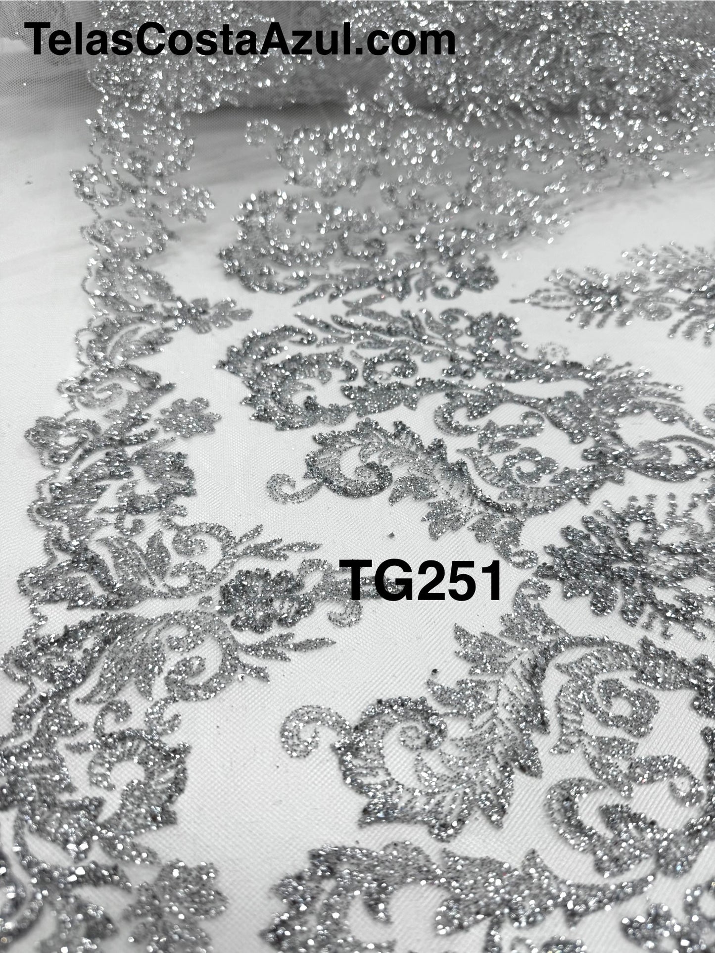TG251