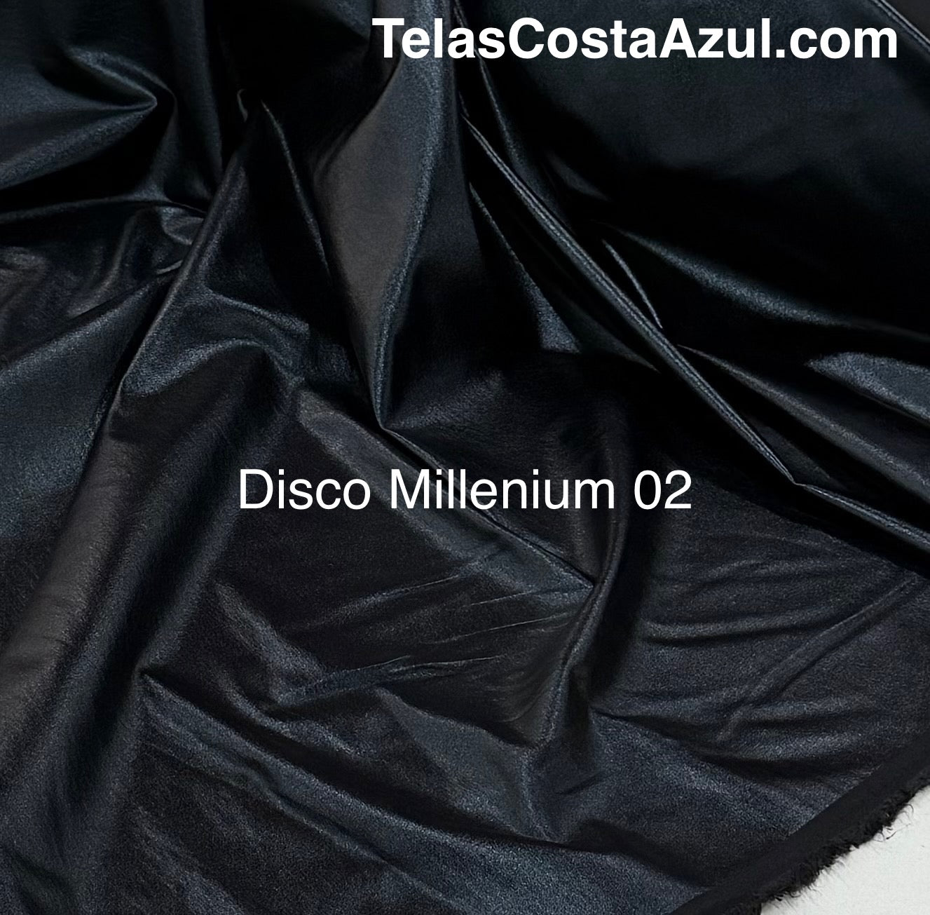 Disco Millenium 02