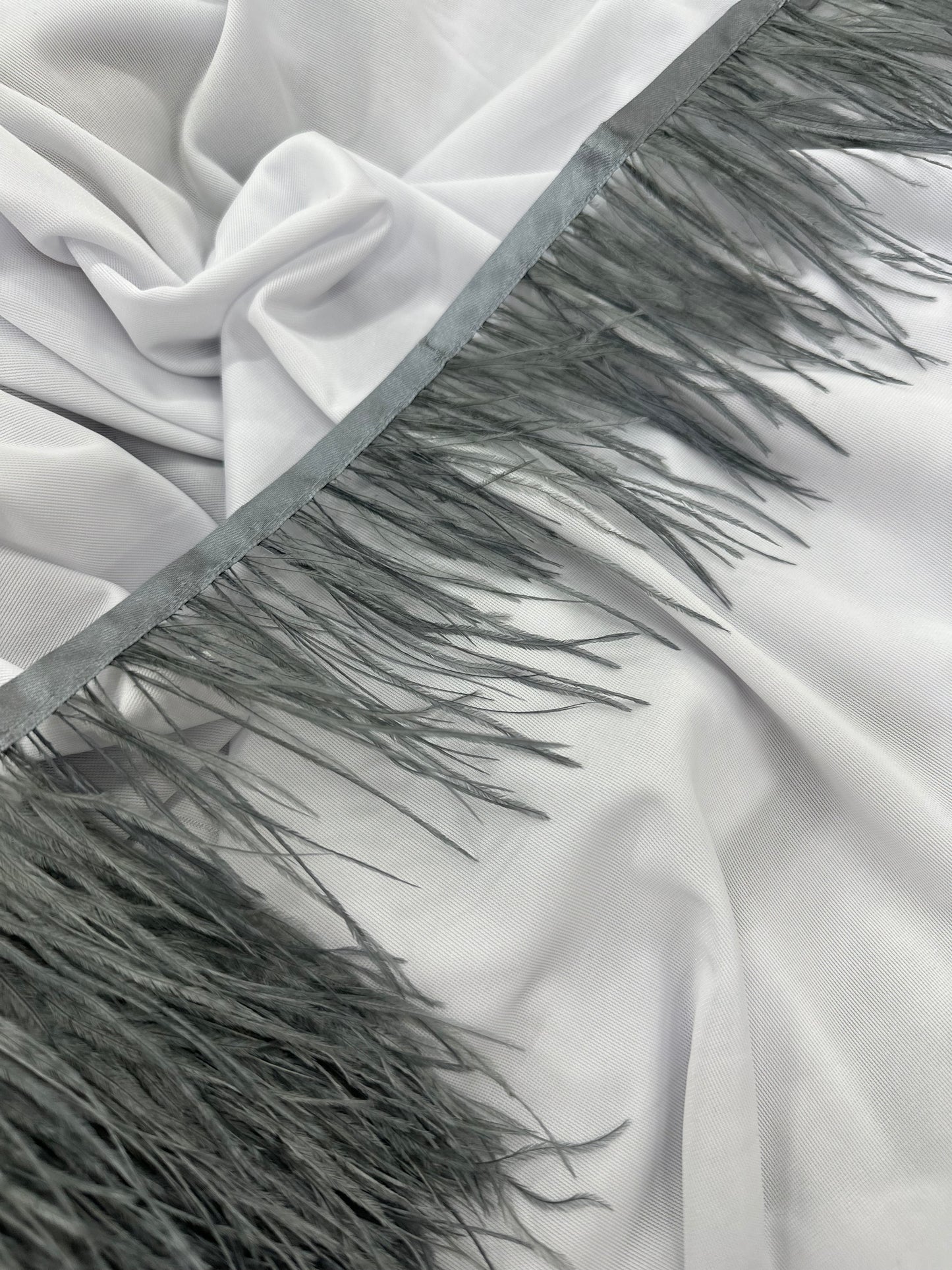 Plumas de avestruz 10cm largo