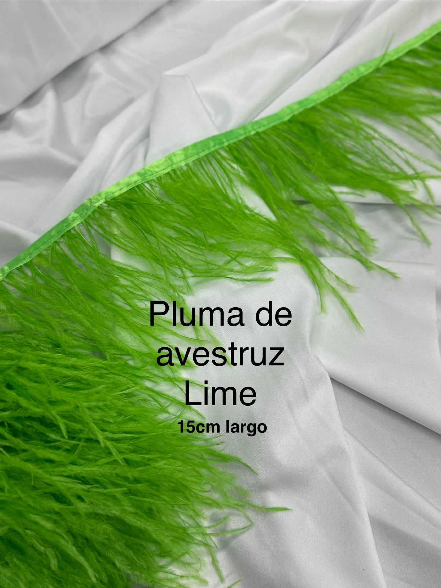 Plumas de avestruz 15cm largo Lime