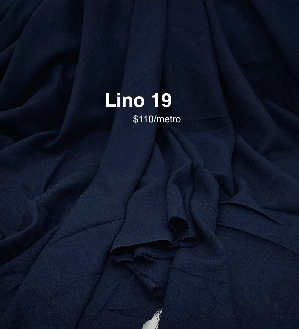 Lino 19