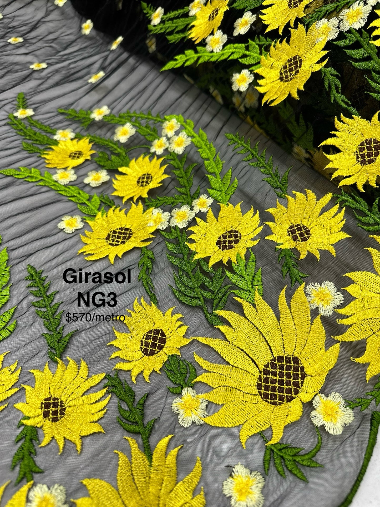 Girasol NG3