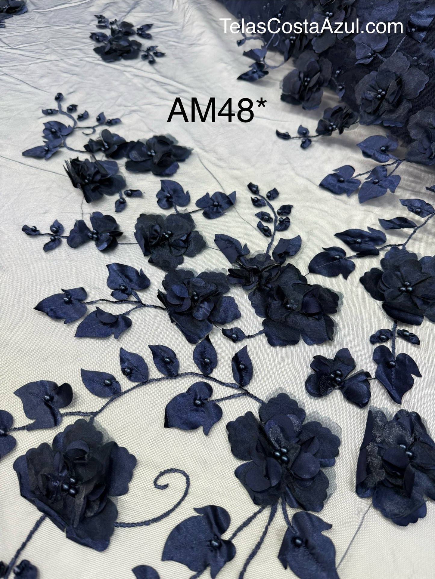 AM48*